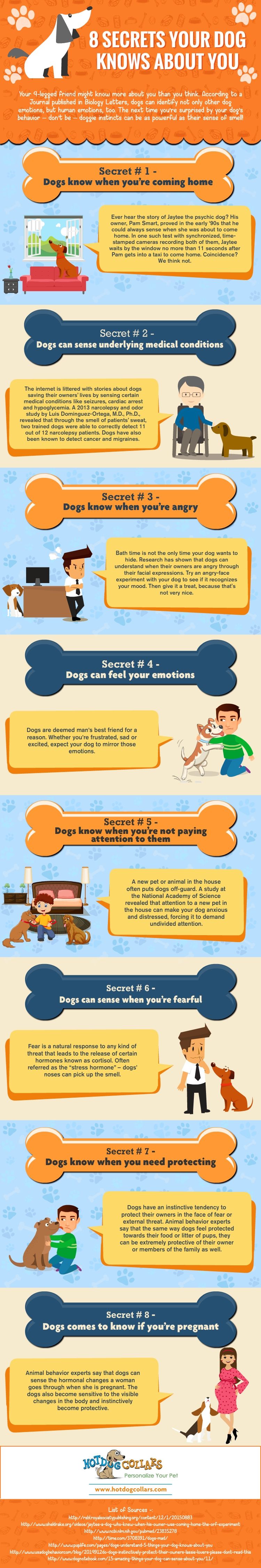 8 Secrets Your Dog Knows About You
