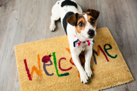 greeting spot for dogs to avoid damage to hardwood floor