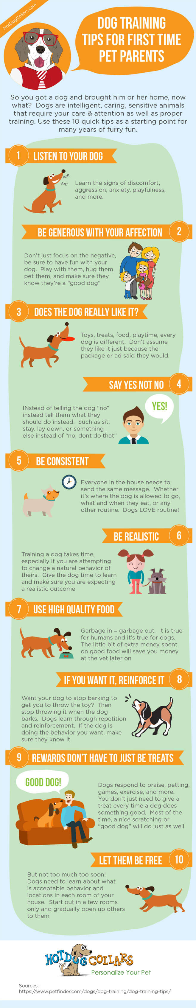 Just got a dog? need some help? Here are some quick tips to get you and your new family member off on the right paw