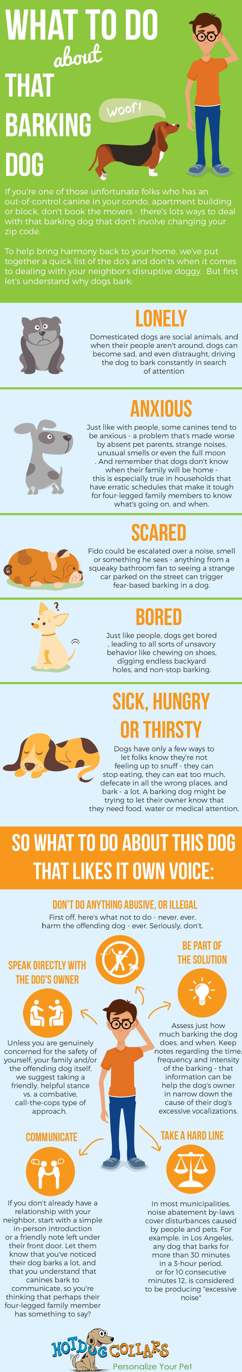 Tips To Help With A Barking Dog