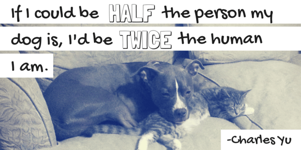 If I Could Be Half The Person my dog is, I'd be twice the human I am 