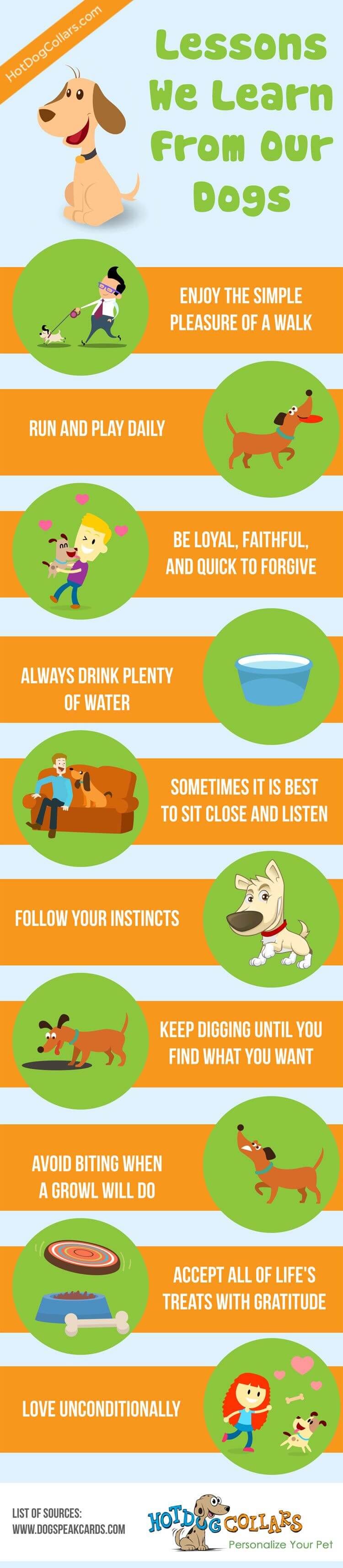 We love them but now it's time to learn from them, here are 10 lessons to be learned from our dogs.