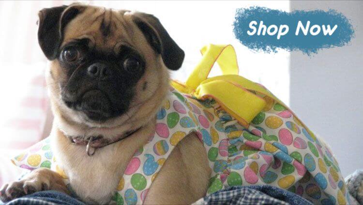 Collars for small dogs