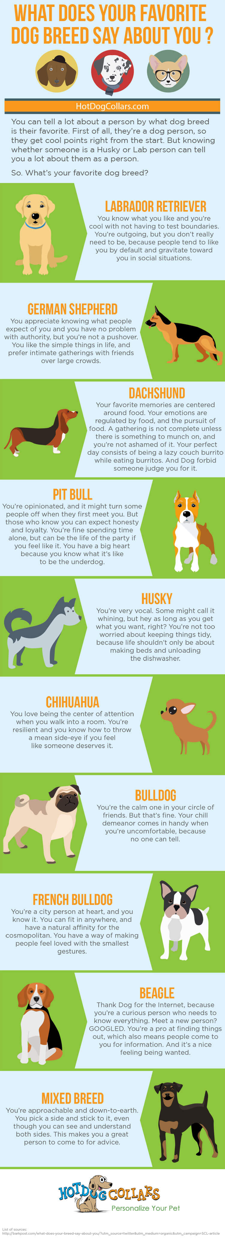 What Does Your Favorite Dog Breed Say About You [INFOGRAPHIC] -  